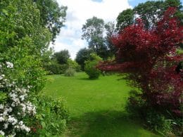 jardin