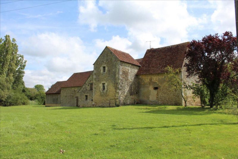 Belle demeure du Perche F1113